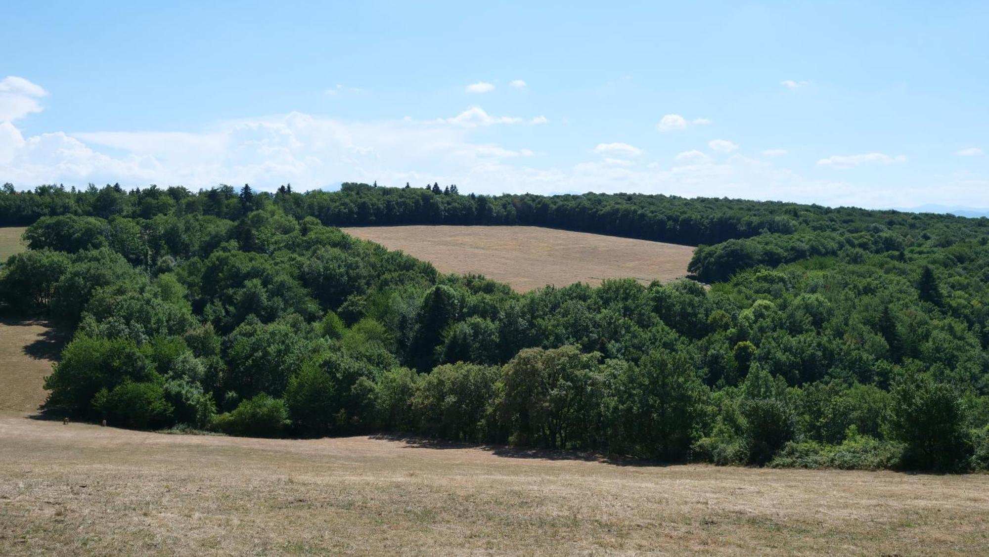 Maison Avec Vue Sur Le Lac De Montbel Luaran gambar